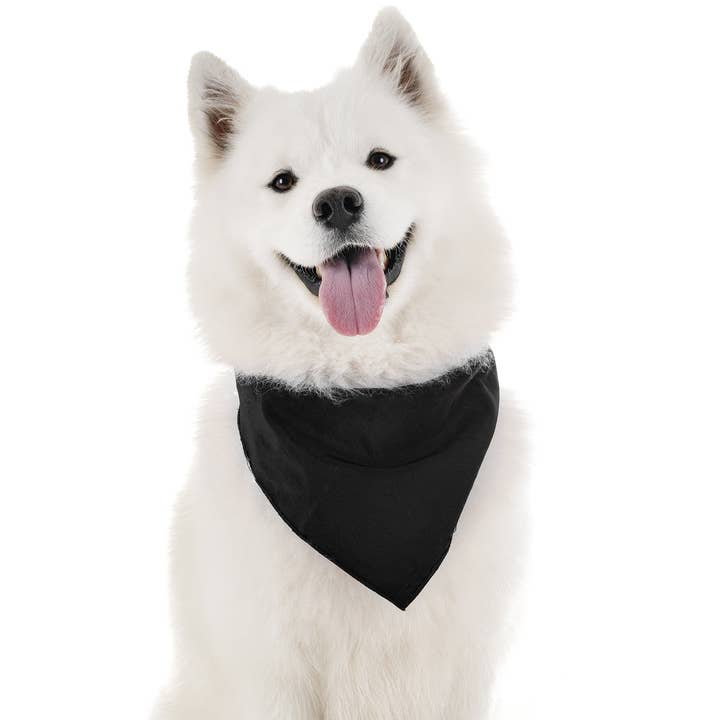 Paquete de 18 pañuelos de algodón para perros de tamaño regular, colores lisos para venta al por mayor de Auction Clearance