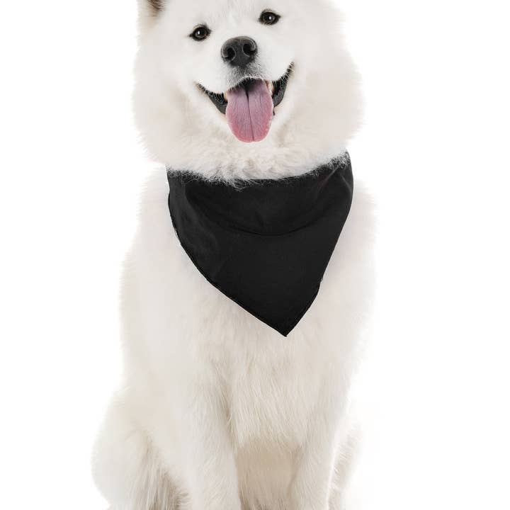 Bandanas Wholesale - Wholesale Pet Bandana - Dog - Pack of 30 XL Oversized Polyester Dog Bandanas Solid Colors