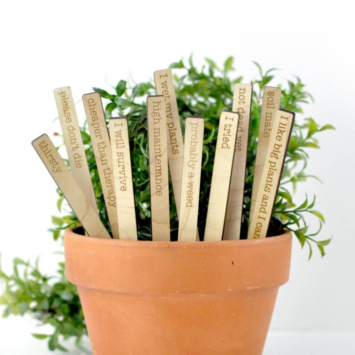 Punny Plant Markers - Great for Fall Indoor Planting for wholesale by Blue Studio Creative