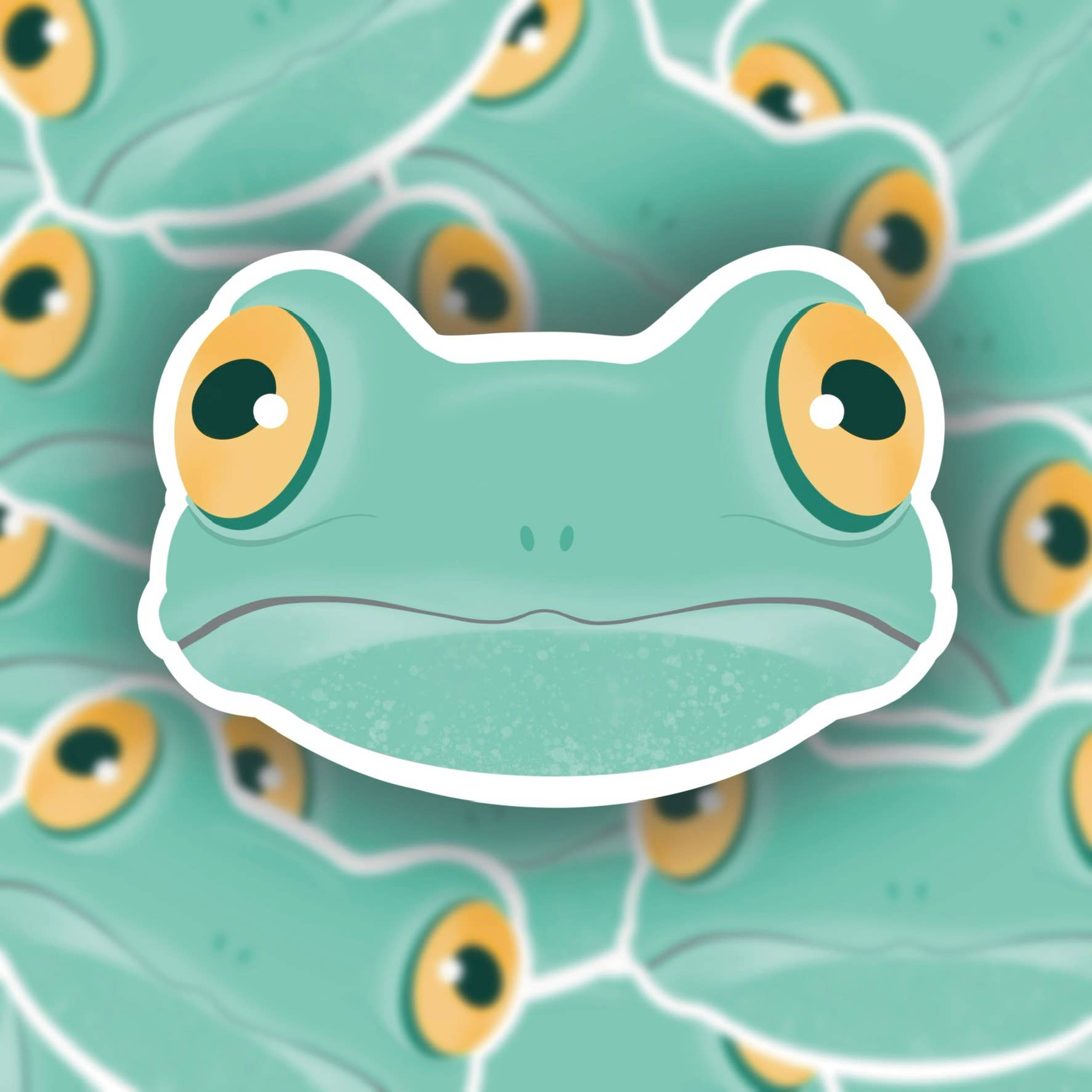 Sage and Virgo – wholesale Sticker – Funny Frog Face, Vinyl Sticker1