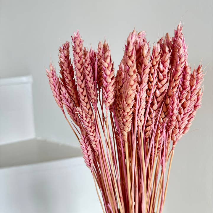 Flowrette - Wholesale Dried/Pressed Flowers - Lilac wheat boot1