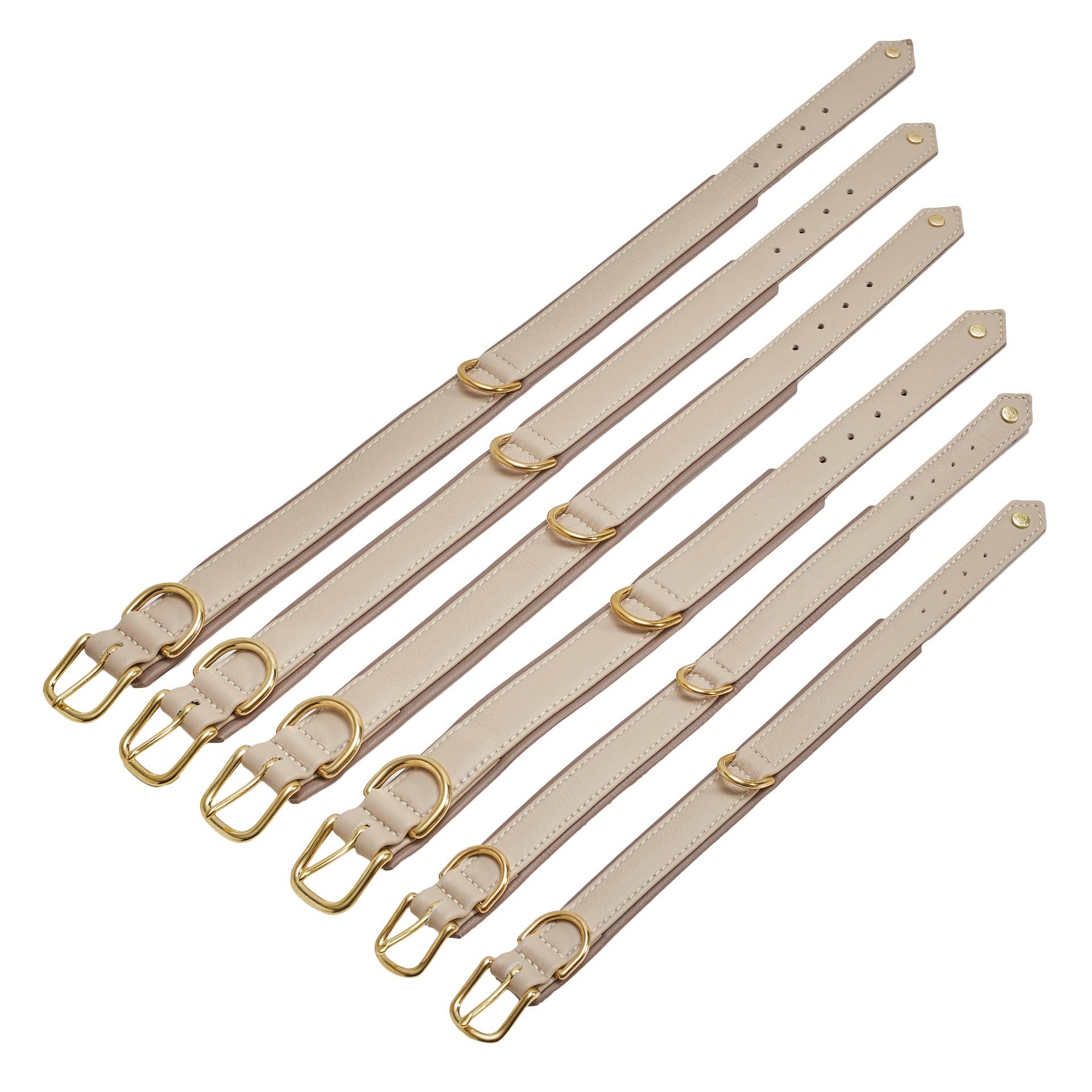 IVORY AMICI Dog Collar for wholesale on Faire12