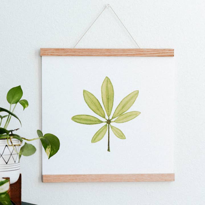 Umbrella Plant Houseplant Art Print for wholesale by Come Alive Studio