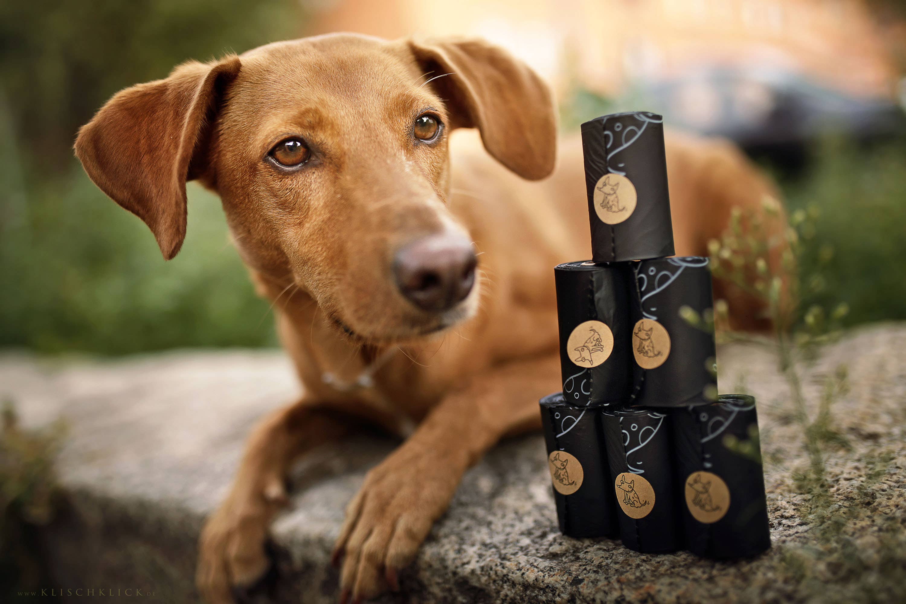 The Sustainable People - Wholesale Poepzak - Biologisch afbreekbare hondenpoepzakken zonder handvatten (120 zakken per doos)16