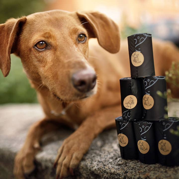 The Sustainable People - Wholesale Poepzak - Biologisch afbreekbare hondenpoepzakken zonder handvatten (120 zakken per doos)16