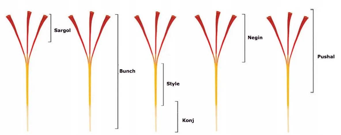 Royal Brand - Wholesale Dried Spice - SZAFRAN SARGOL 5g CZERWONE NITKI2