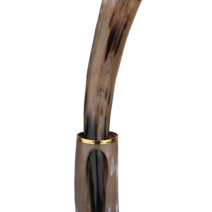 Muqeem & Brothers - Wholesale Drinking Glass/Cup - Drinking Horn with Stand - Holds Upto 16 oz, Metallic Finish4