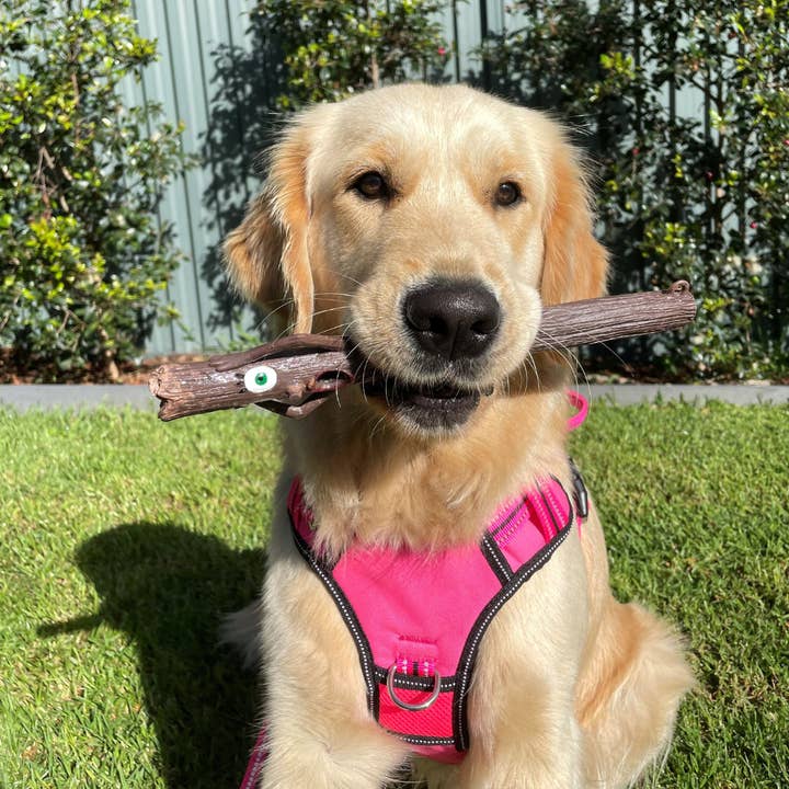 DOOG (Dog Owners Outdoor Gear) - Wholesale Pet Toy - Dog - Stick Family Toys - Twiggy Rubber Material1