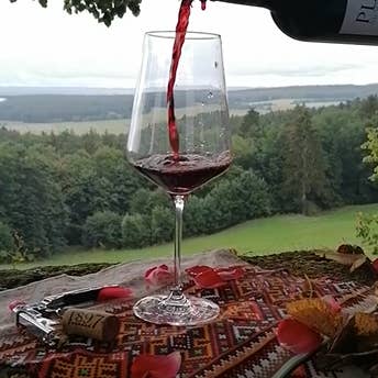 DEKA-Trade - Wholesale Red Wine - PLAI Cabernet Feteasca Neagra Dry Red Wine 0.75l Reserve3