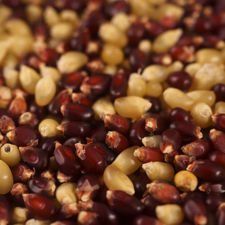 Seven Forks Farm - Wholesale Popcorn - Fireside Blend Popcorn 30oz. Bag3