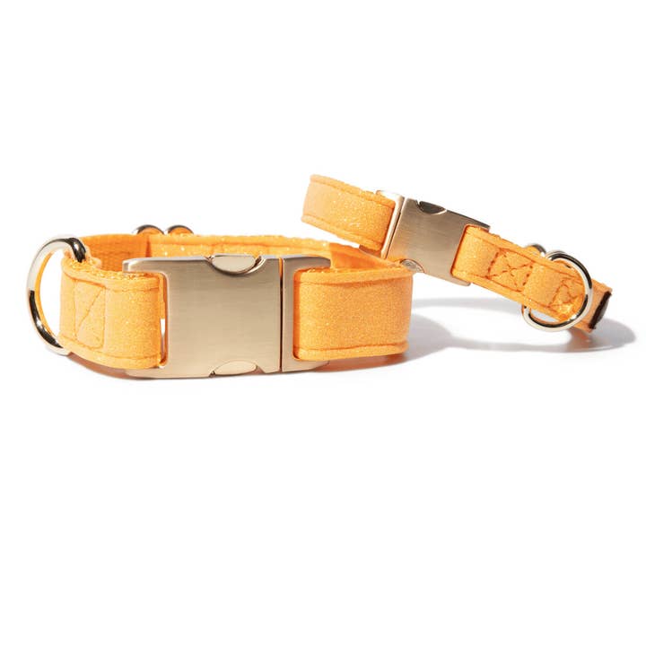 Keaton Glitter Dog Collar | Yellow Dog Collar | Dog Collar  for wholesale by Pink Papyrus | Premium, Durable, & Stylish Dog Products