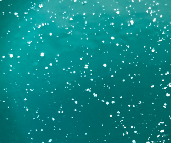 Nori’s Wishes – Großhandel Gewürz-/Dipschale – Salsa-Schüsseln5