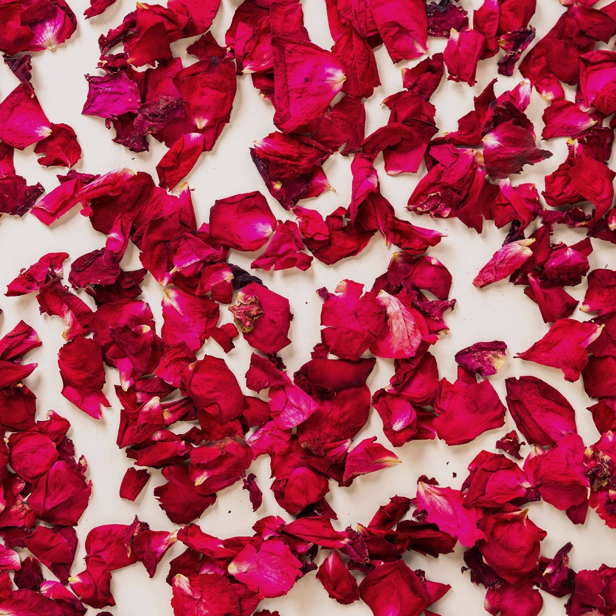 The Whole Bride - Wholesale Confetti - The Ultimate Rose Petal Bundle (petals, cones + trays)9