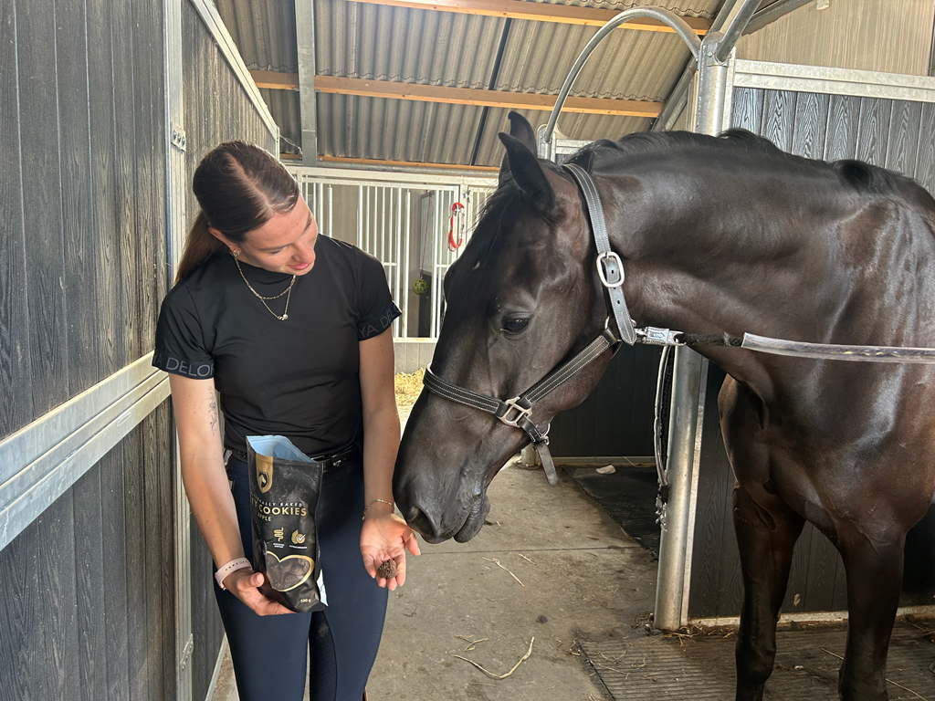 Hofman Animal Care - Wholesale Pet Treats - Dog - Excellent Horse Artisan Horse Cookies Apple3