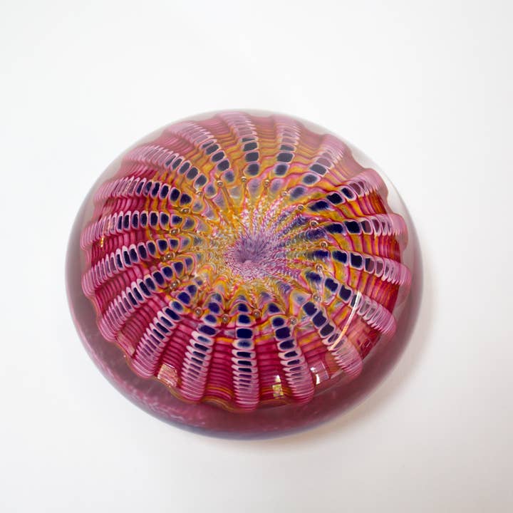 Fermacarte - Riccio di mare rosa per la vendita all'ingrosso da parte di epiphany studios