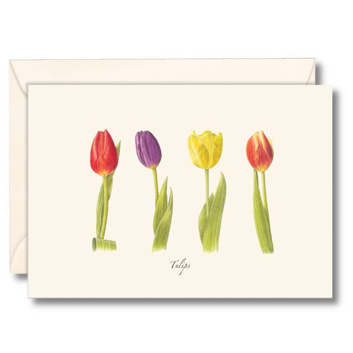 Tulips for wholesale by Earth Sky + Water