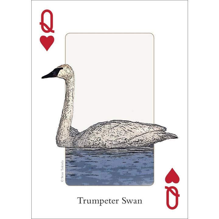 AdventureKEEN - Wholesale Playing Cards - Birds of Midwest Playing Cards2