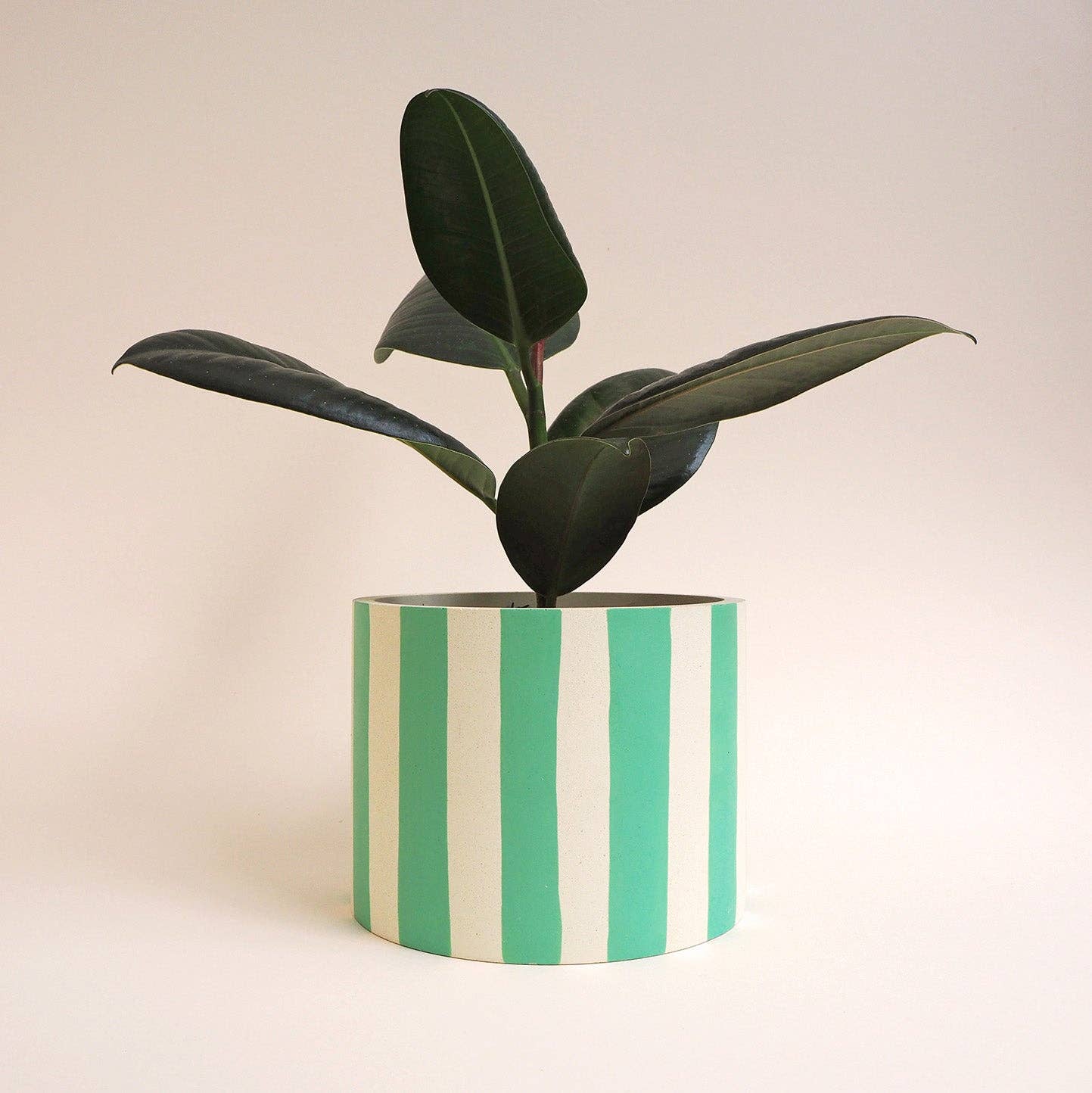 Hello Marilu - Wholesale Plant Pot - Large Stripes or Squiggles Jesmonite Pot4