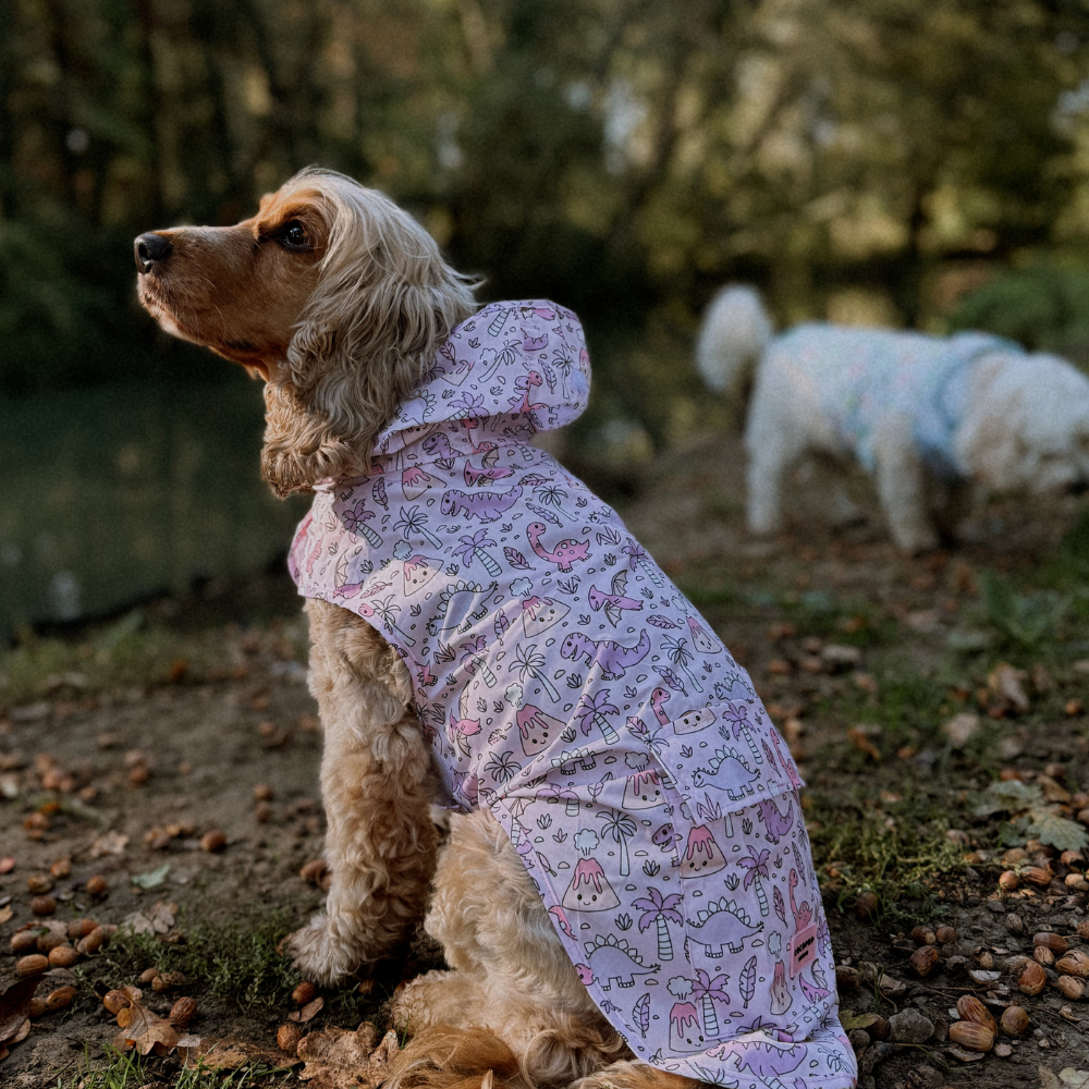 Cocopup London – wholesale Pet raincoat – Dog – Dog Raincoat - Princess Dino8