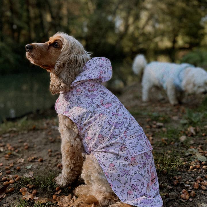 Cocopup London – wholesale Pet raincoat – Dog – Dog Raincoat - Princess Dino8