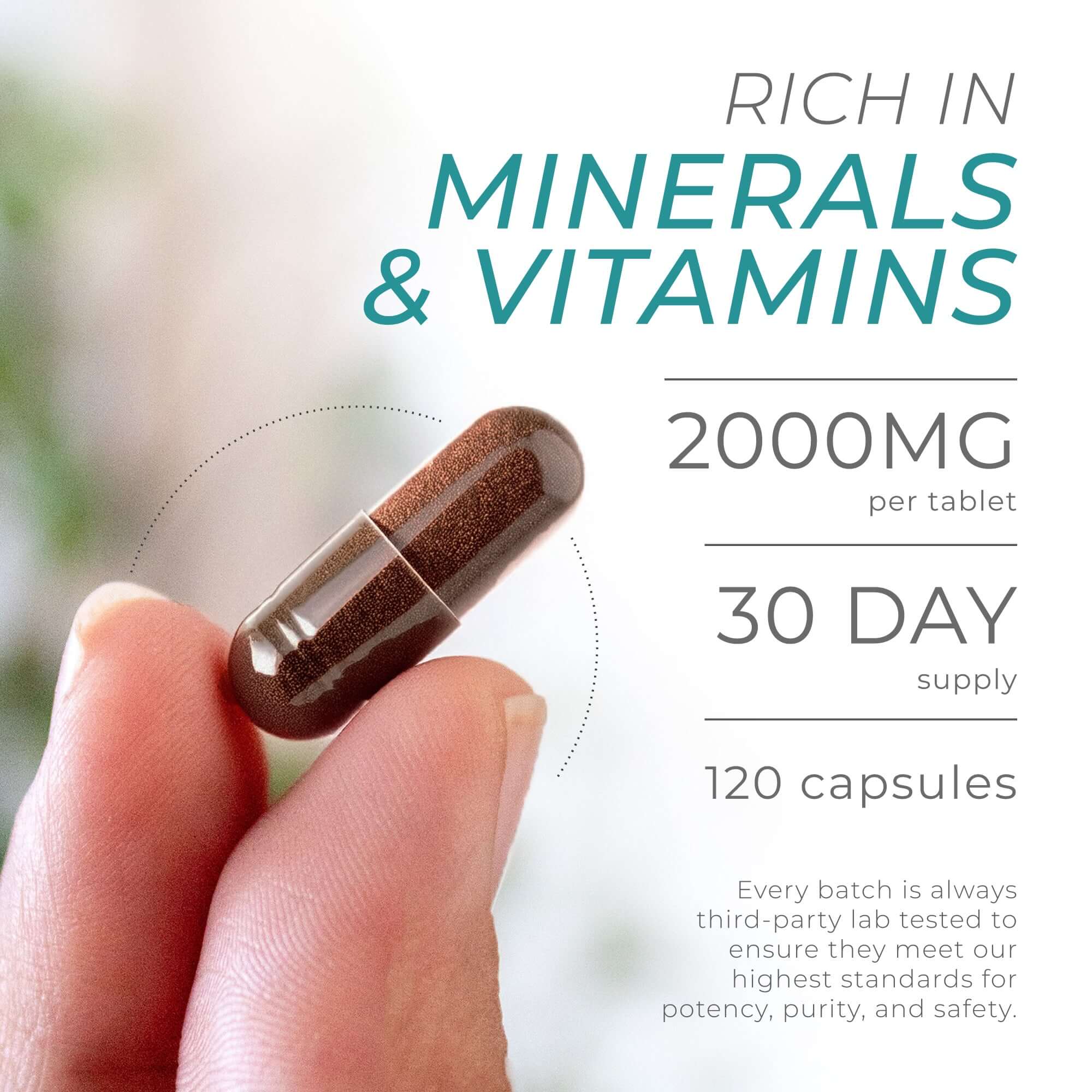 Neurogan Health – wholesale Oral supplement/vitamin – Sea Moss Capsules5