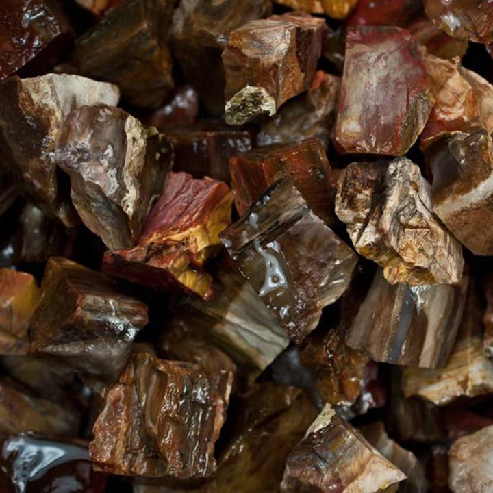 Cristaux de bois pétrifiés bruts - Pierres naturelles brutes (1 lb) pour la vente par Fantasia Mining