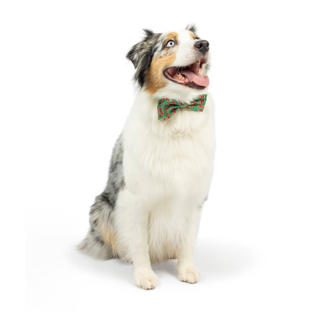 Huxley & Kent – Großhandel Fliege für Haustiere – Katze/Hund – Ho Ho Ho Fliege2