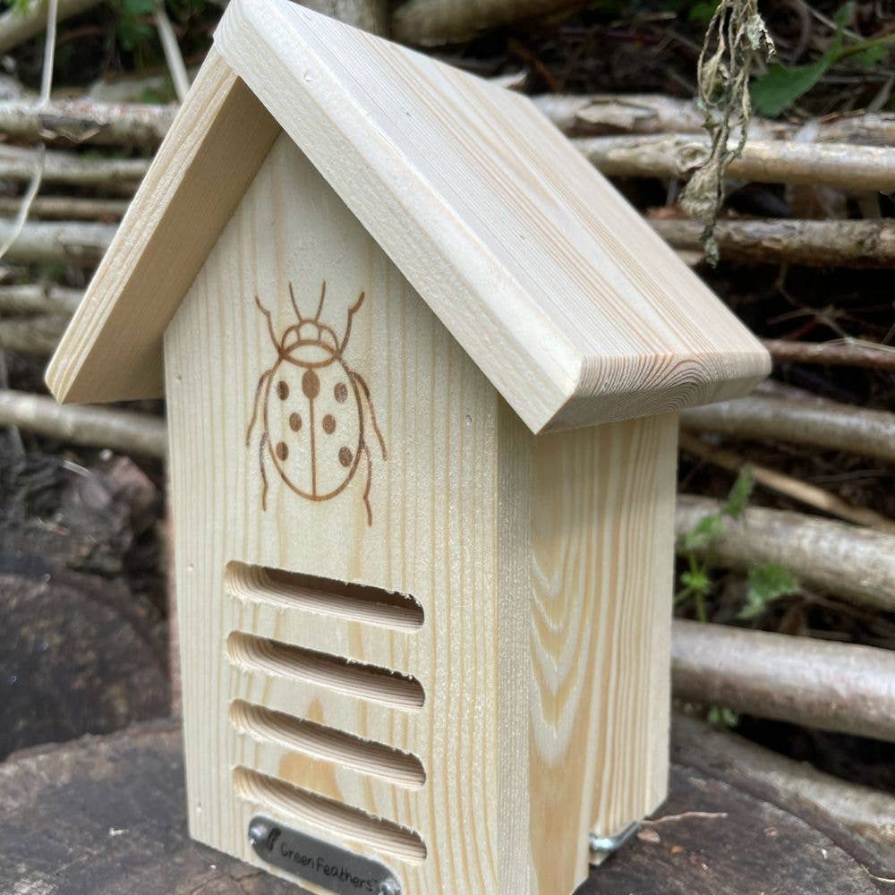 Green Feathers – wholesale Bird house – Ladybird House3
