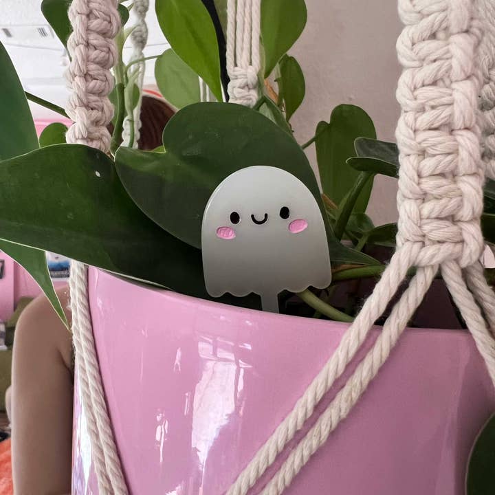 Jollie Ollie Designs - Wholesale Garden Gnome - Ghost Plant Pal