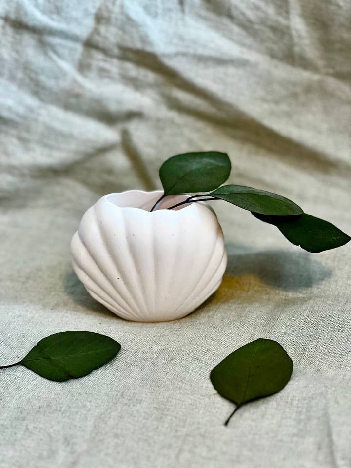 Snäckskal potten, skal vas, badrumstillbehör för wholesale av EMB Pretty