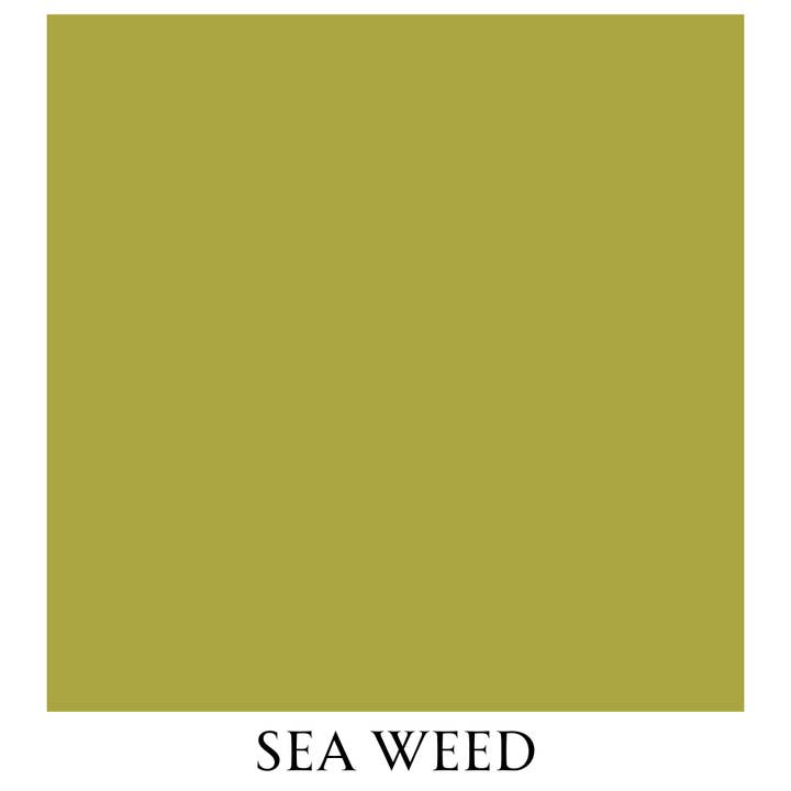 Sea Weed Vintage Chalk Furniture Paint Size: 1 Quart for wholesale by Autentico USA