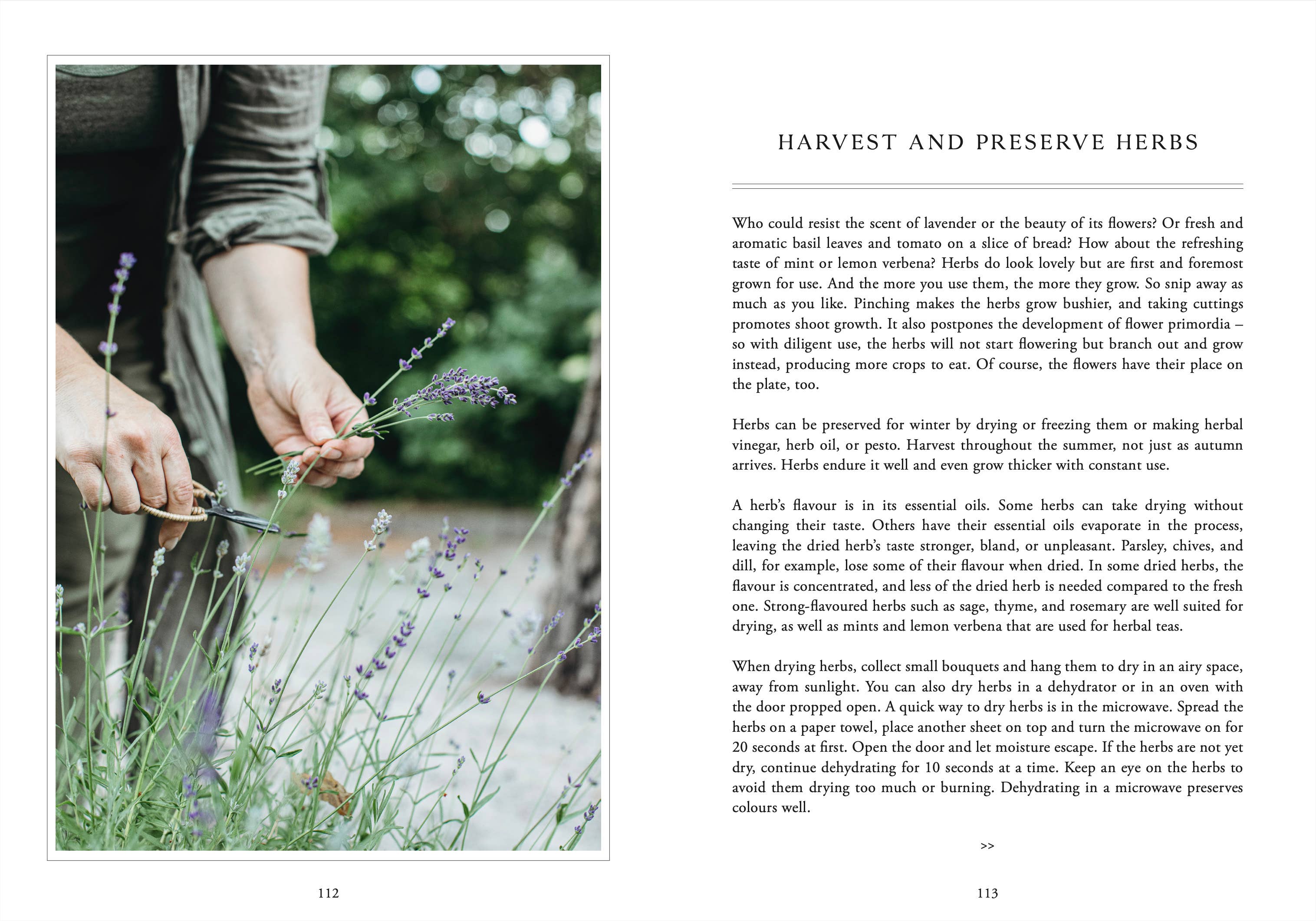 Cozy Publishing - Wholesale Home & Garden Book - Living with Herbs6