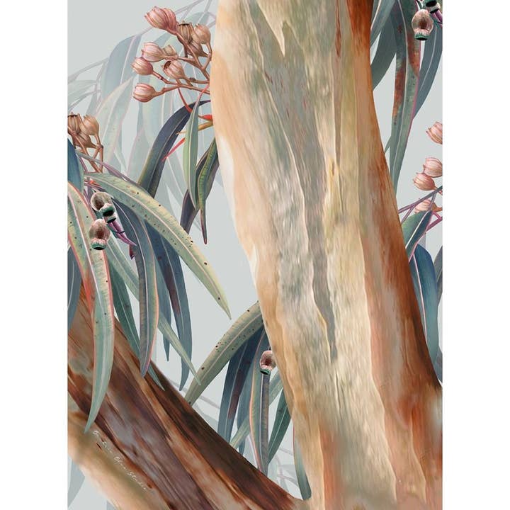"Boroondara" |Australian Blue Gum Eucalyptus Print-Portrait for wholesale by Banksia Blue Studio