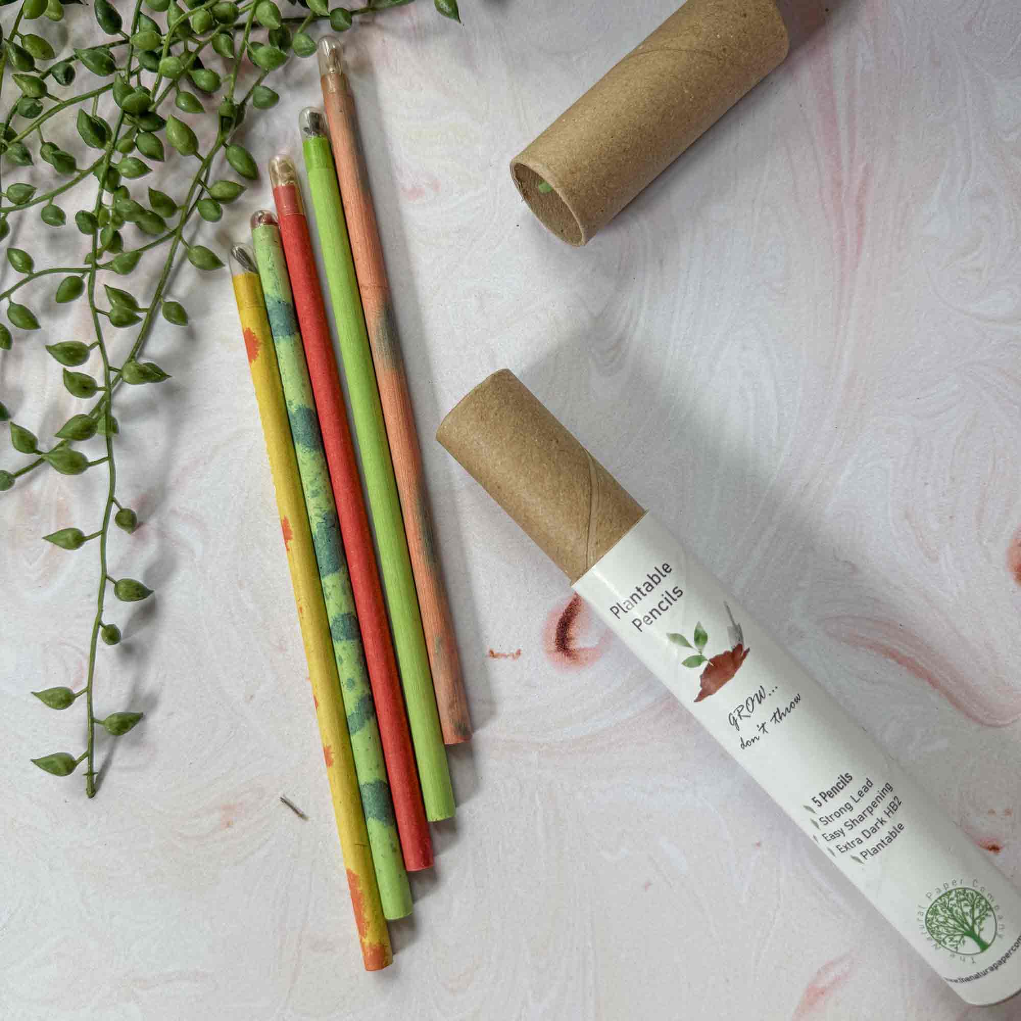 The Natural Paper Company – wholesale Pencil – Plantable Pencils - Set of 5 | Tube of Recycled Paper Pencil3