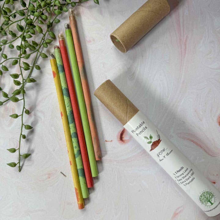 The Natural Paper Company - Wholesale Pencil - Plantable Pencils - Set of 5 | Tube of Recycled Paper Pencil3