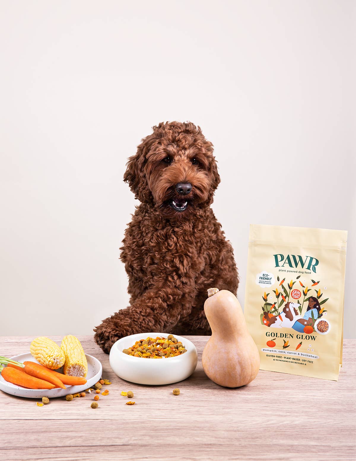 PAWR - Vendita all'ingrosso Cibo - Cani - Golden Glow | Cibo per cani a base vegetale | 750 grammi | Sostenibile1