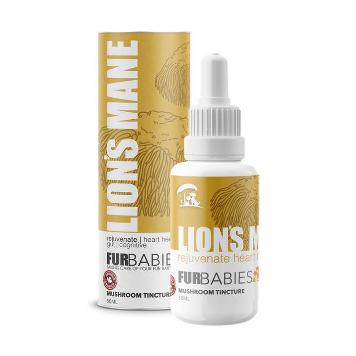 Lion's Mane Mushroom Oral Drops 50mL bottle for wholesale by FurBabies Pet Products