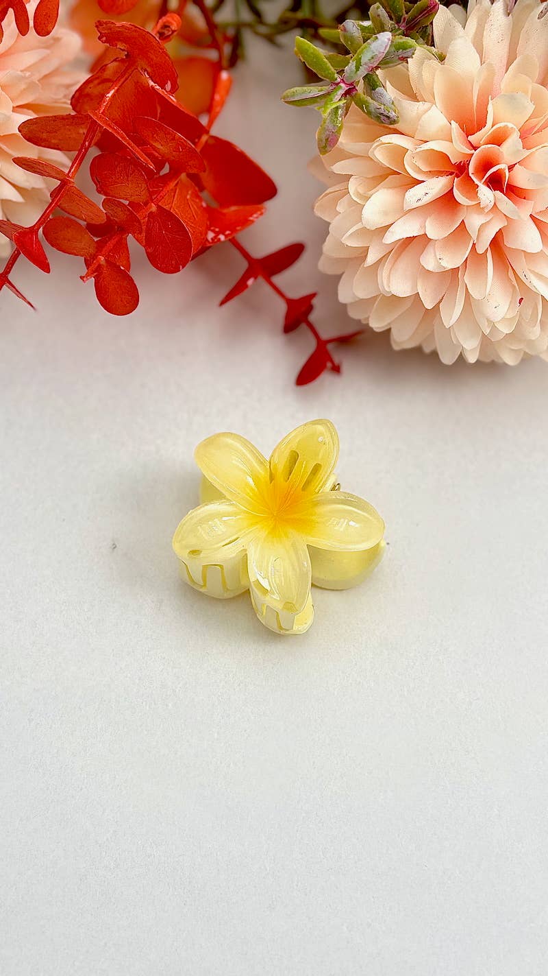 BYREN | ÉLINE L'ATELIER - Vendita all'ingrosso Set di accessori per capelli - Donna - Mini molletta per capelli a forma di fiore 4 cm YH374