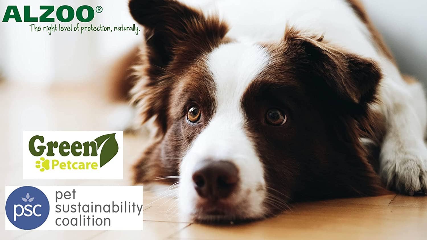 ALZOO - Wholesale Pet Collar - Dog - ALZOO Plant-Based Calming Collar for Dogs, 30days8