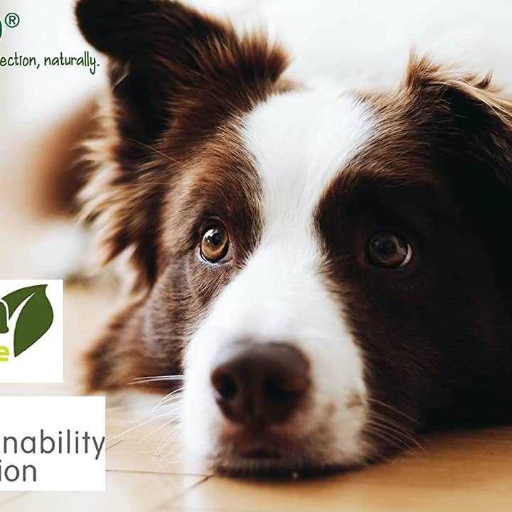 ALZOO - Wholesale Pet Collar - Dog - ALZOO Plant-Based Calming Collar for Dogs, 30days8