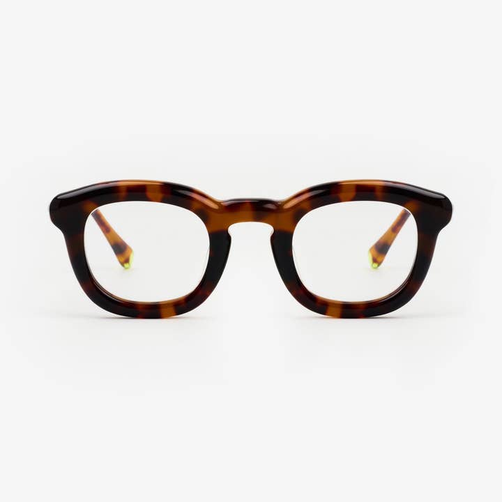 Frische Zimtfeuer Formuliert für den Großhandel von Sajú