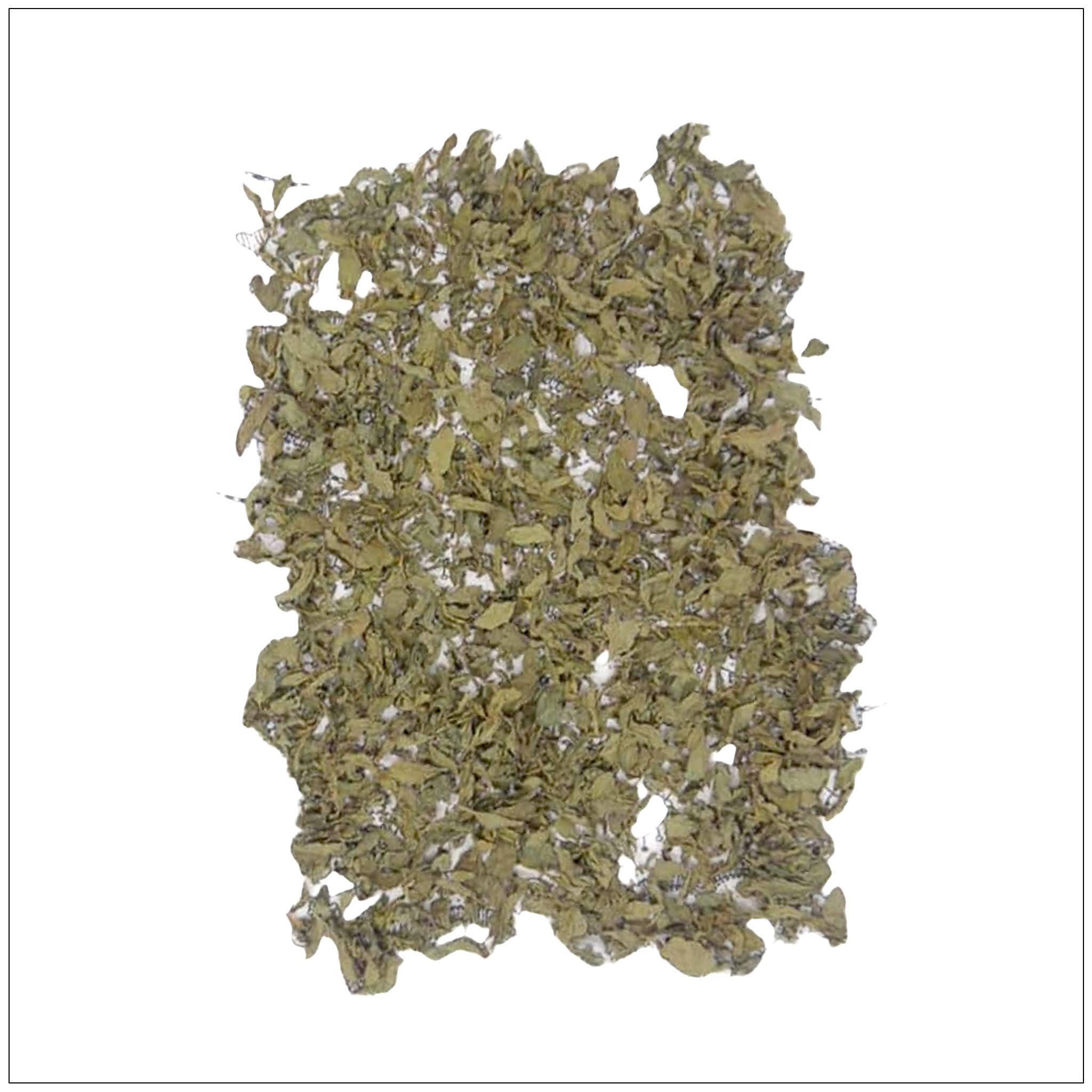 Alive Herbals - Wholesale Herbs - Dry Mint Leaves1