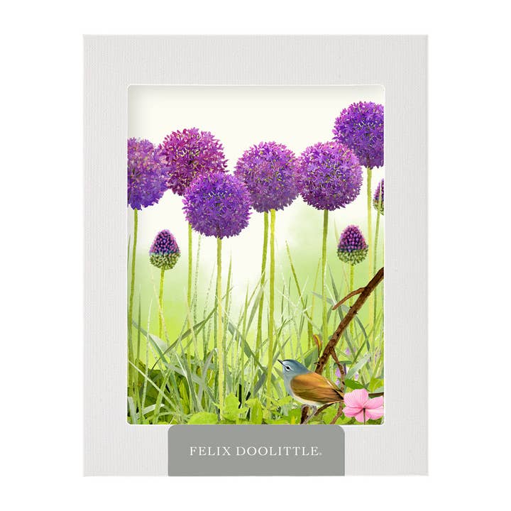Allium Viola - Biglietti di Auguri in Scatola per la vendita all'ingrosso da parte di Felix Doolittle