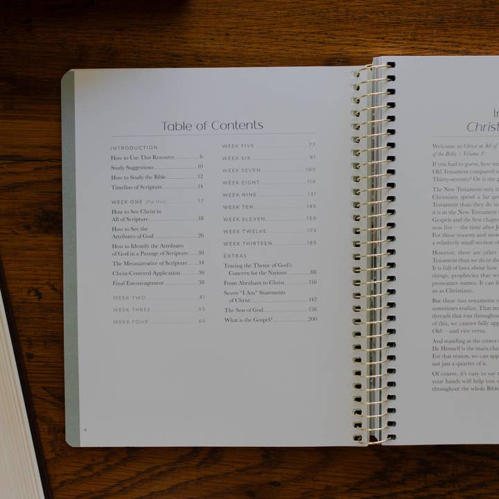 The Daily Grace Co - Wholesale Book - Adult - Christ in All of Scripture | Volume 1