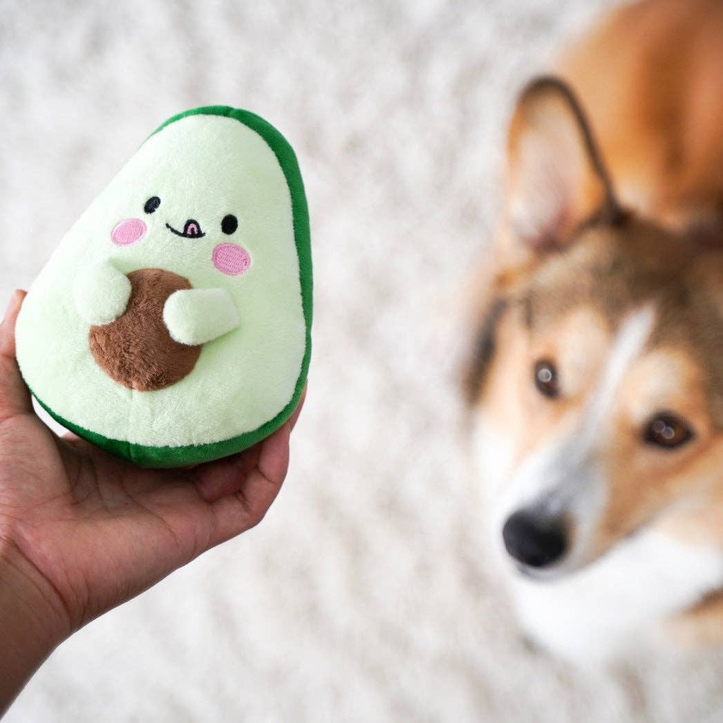 KIBU - Wholesale Pet Plush Toy - Dog - Avocado Plush Dog Toy3