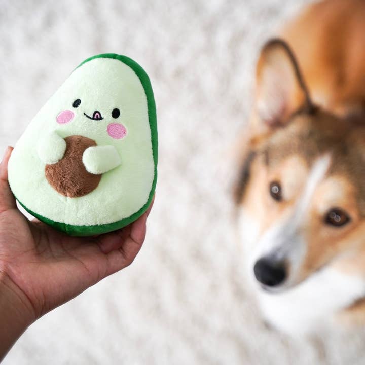 KIBU - Wholesale Pet Plush Toy - Dog - Avocado Plush Dog Toy3