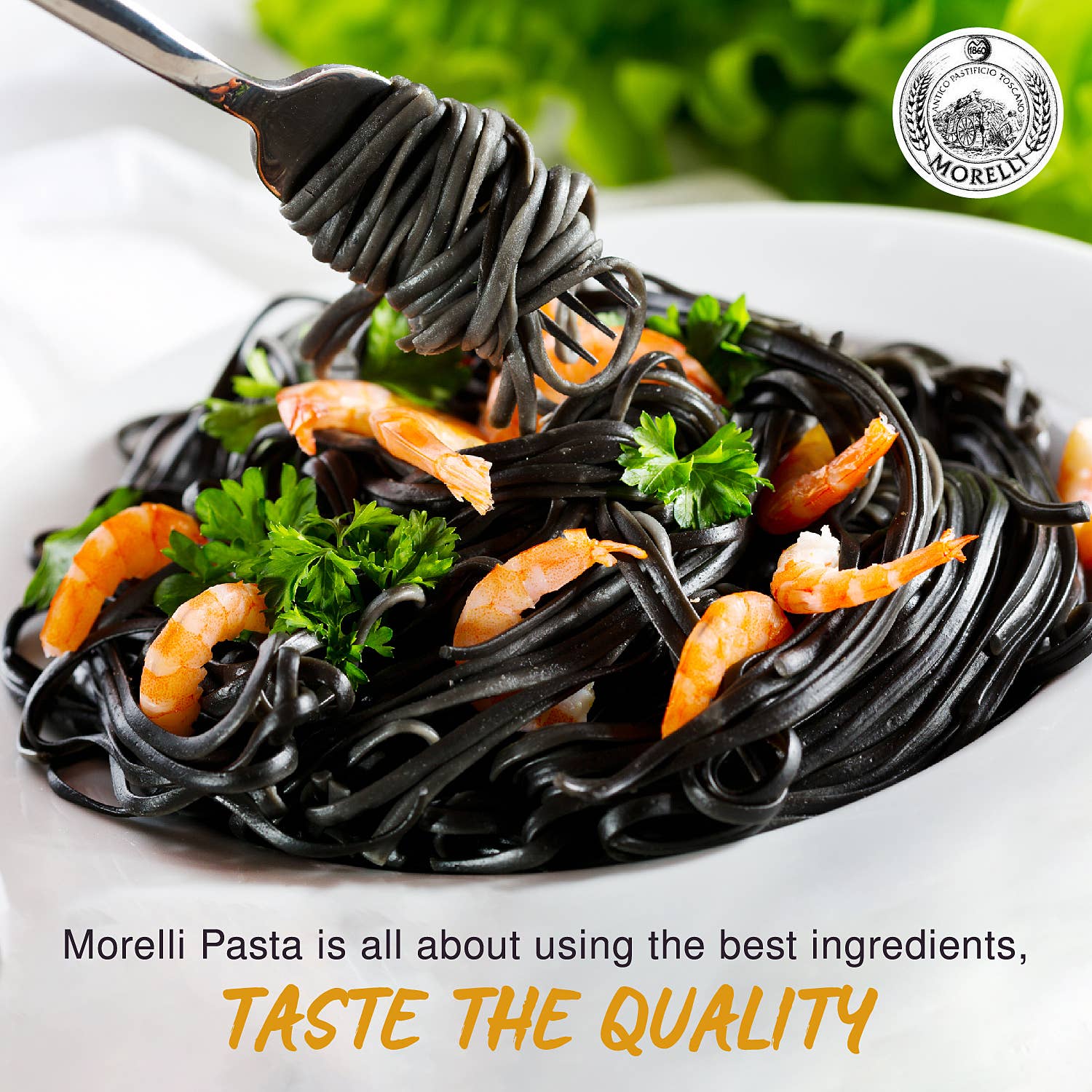 Wholesale Organic Squid Ink Linguine Pasta- 8.8oz for your store