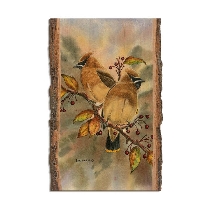 Cedar Waxwings - Aimants et cartes postales en bois pour la vente par DaydreamHQ