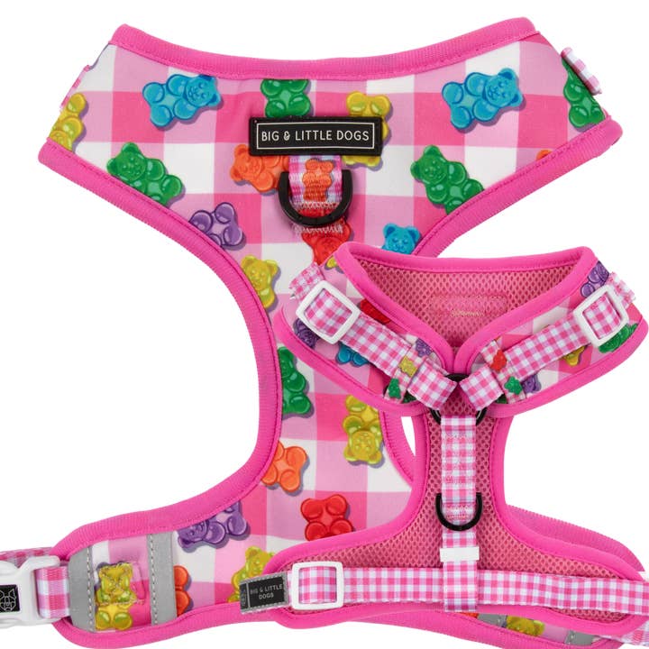 ADJUSTABLE DOG HARNESS: Beary Sweet for wholesale by Big and Little Dogs