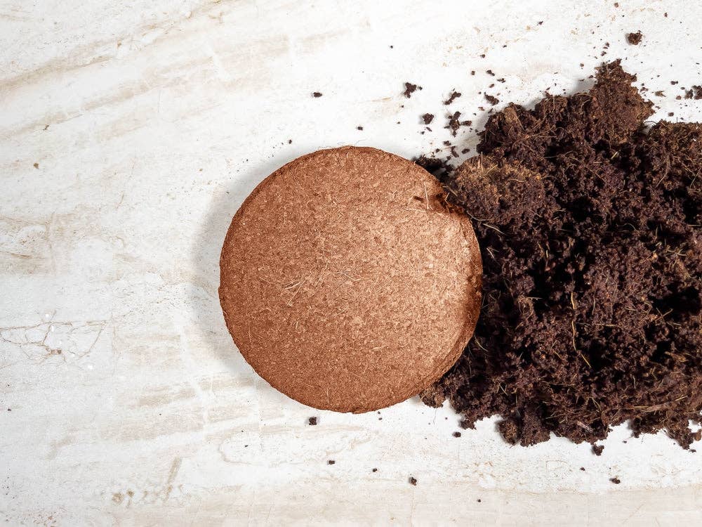 Coir Grow Discs 4 Inches for wholesale on Faire14